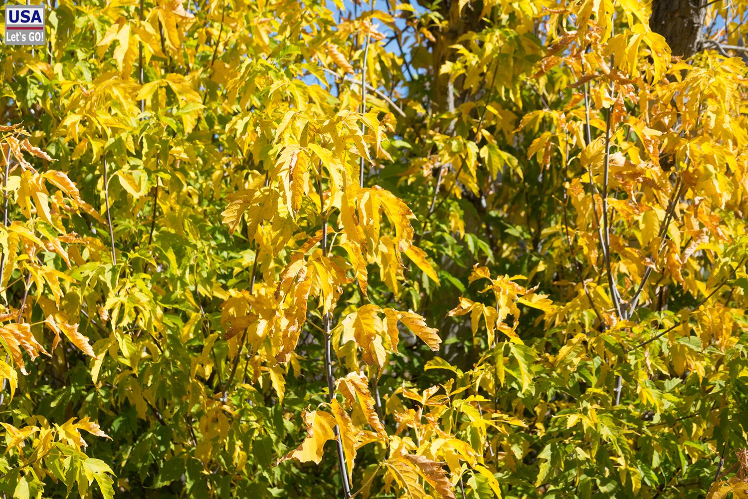 Gila Cliff Dwellings National Monument