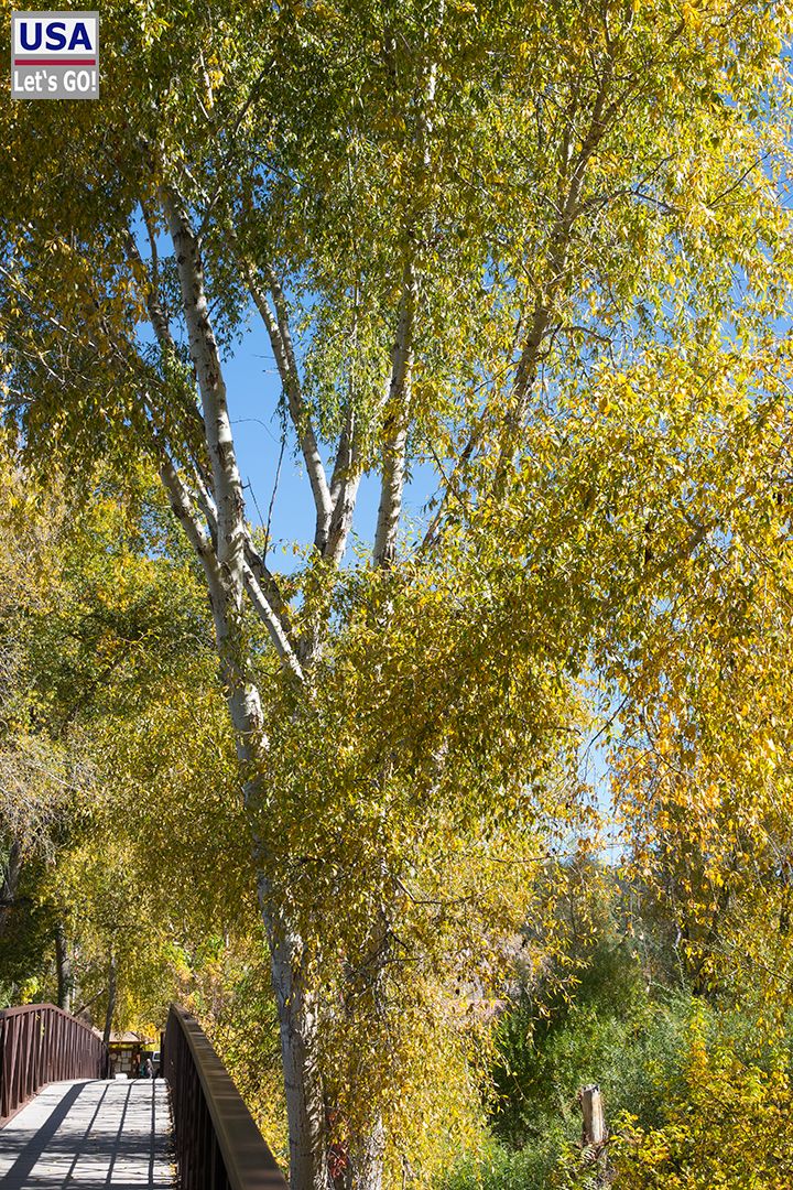 Gila Cliff Dwellings National Monument