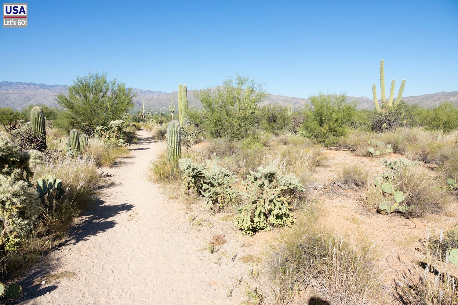 Saguaro National Park Mica Loop Trail