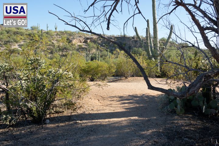 Saguaro National Park Freeman Homestead Trail