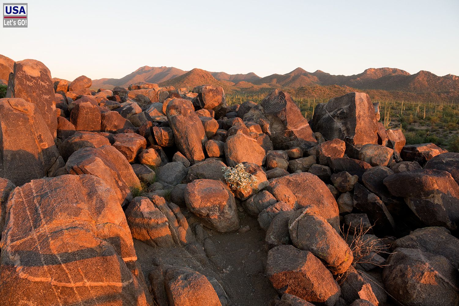 Saguaro National Park Bajada Loop Drive Signal Hill