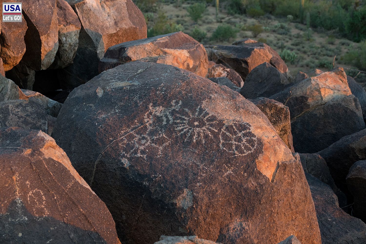 Saguaro National Park Bajada Loop Drive Signal Hill