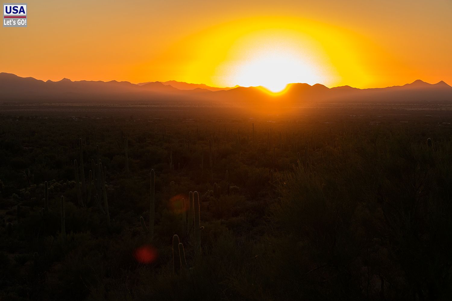 Saguaro National Park Bajada Loop Drive Signal Hill