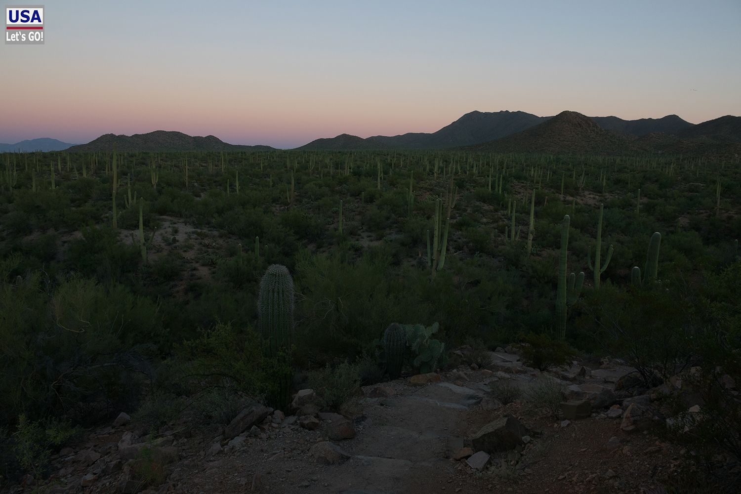 Saguaro National Park Bajada Loop Drive Signal Hill
