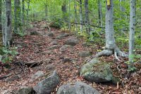 White Mountains (NH)
