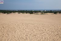 Jockey's Ridge State Park (NC)