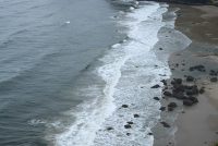 Oregon Coast Scenic Spots (OR)