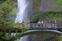 Multnomah Falls (OR)
