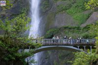 Multnomah Falls (OR)