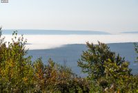 Big Pocono State Park (PA)