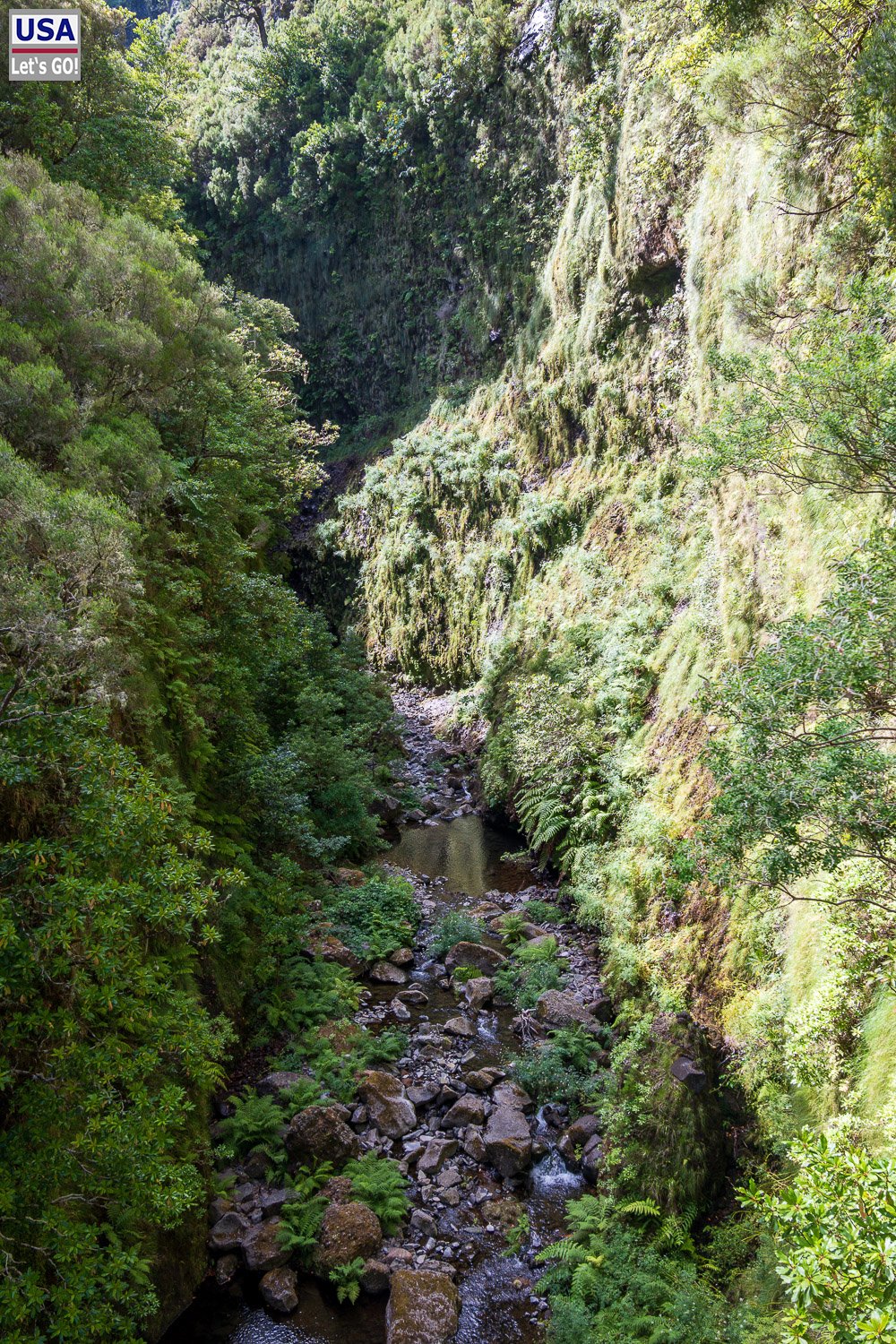 Bewachsene Schlucht des Ribeira Grande