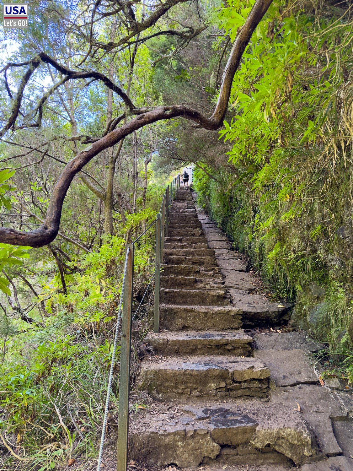 Steile Steintreppe durch den Wald
