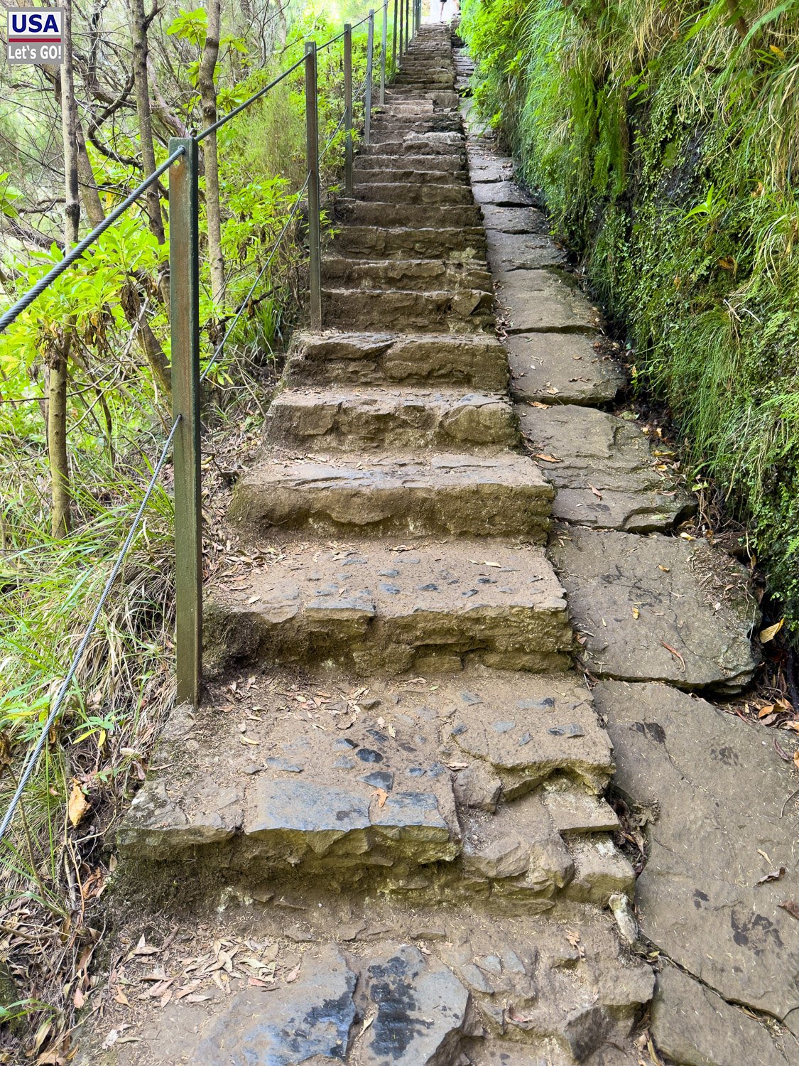 Steinstufen mit Geländer auf dem Weg zur Levada das 25 Fontes
