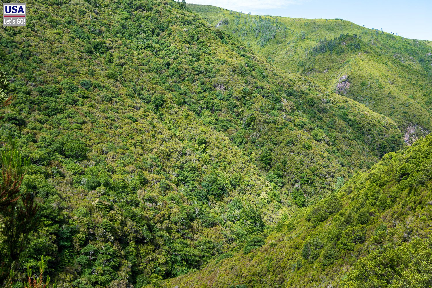 Bewaldetes Tal an der Levada das 25 Fontes