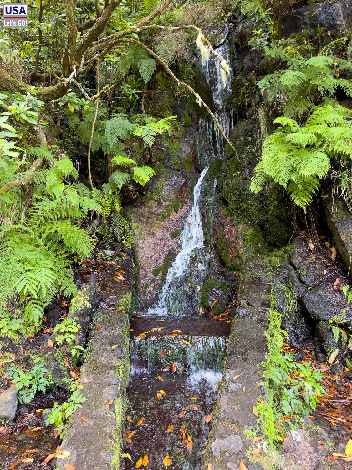 Kleiner Wasserfall speist die Levada