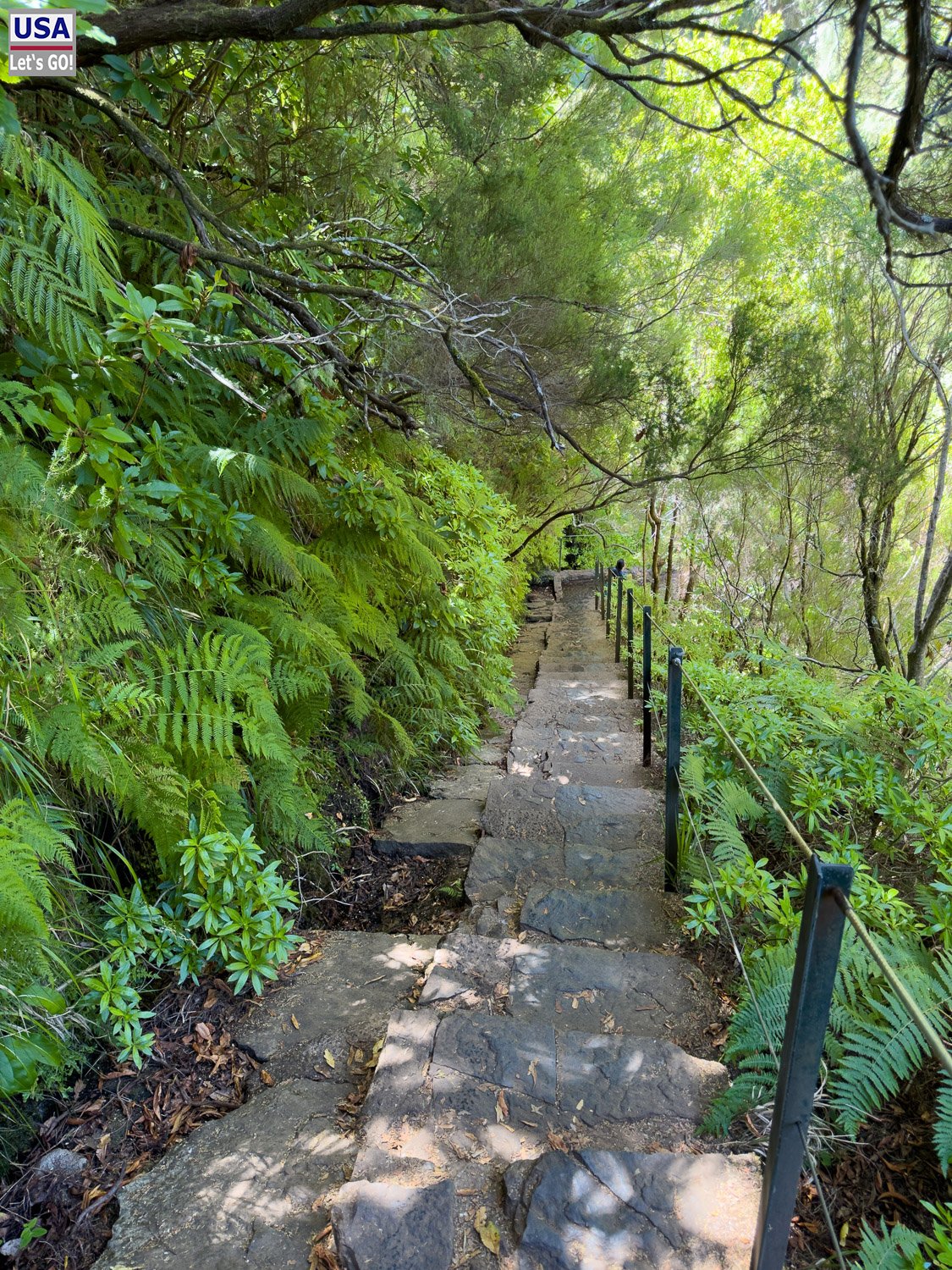 Steile Steintreppe im Wald, diesmal bergab