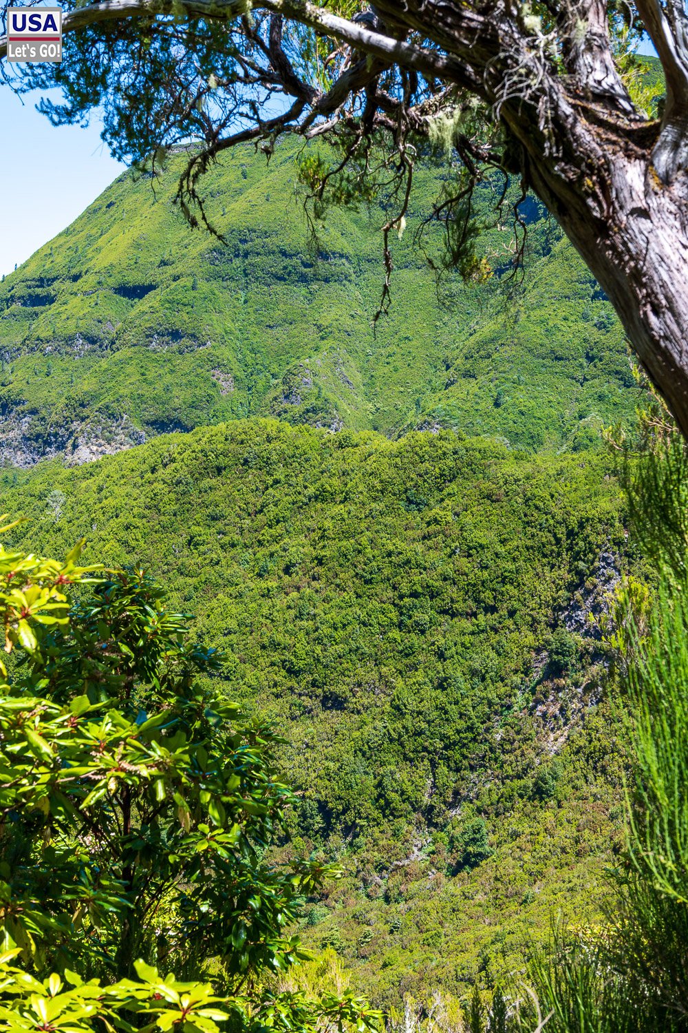 Blick durch Bäume auf die bewaldeten Hänge