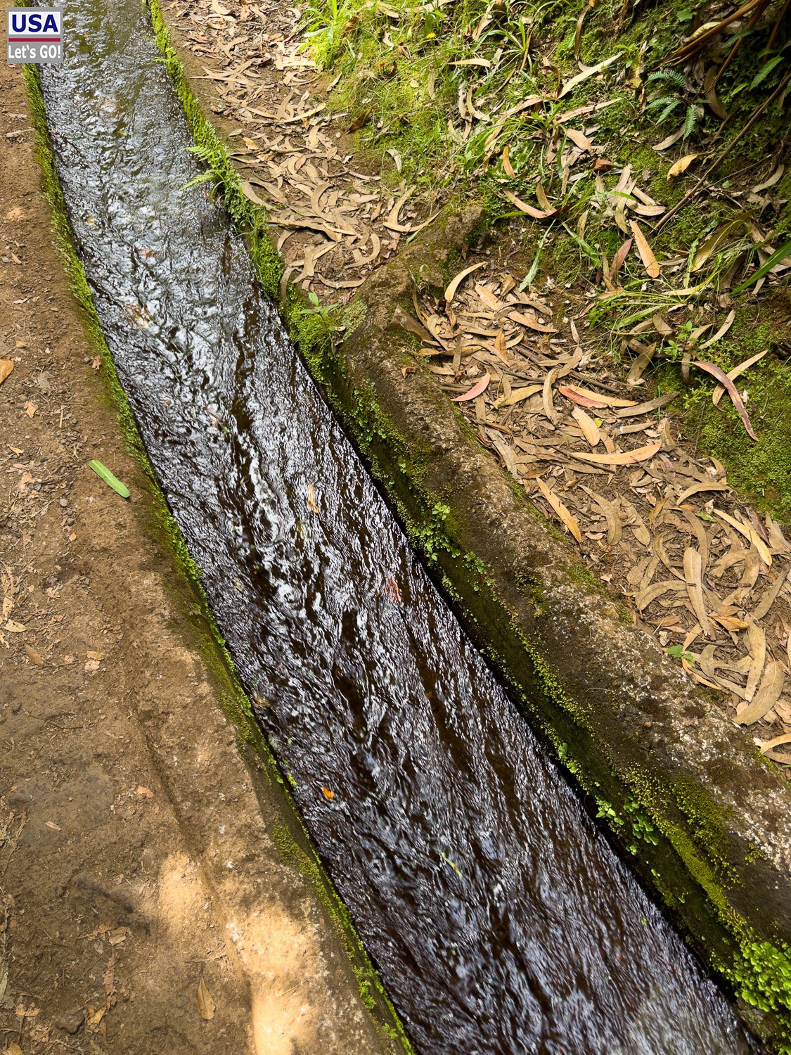 Wasser in der Levada do Rei