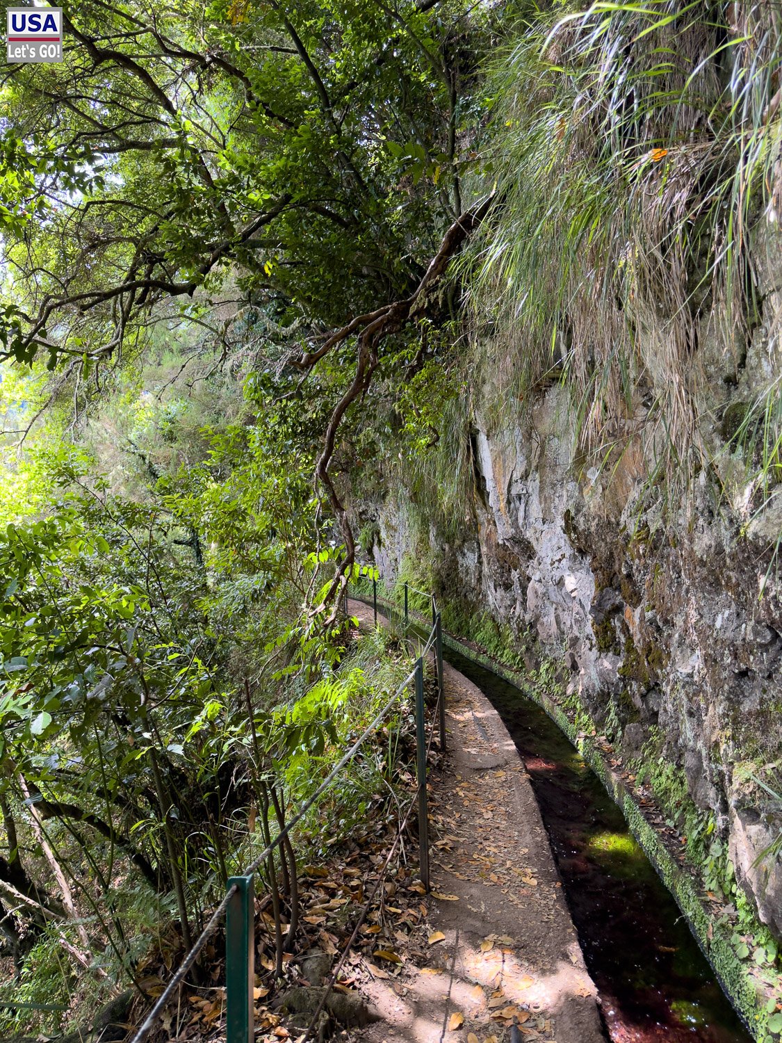 Levada an einer bemoosten Felswand