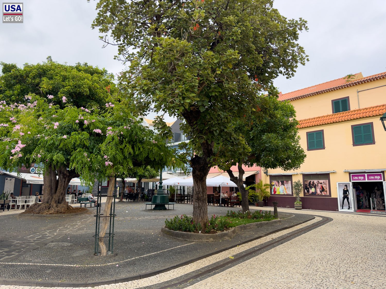Bäume am Hauptplatz von Santa Cruz