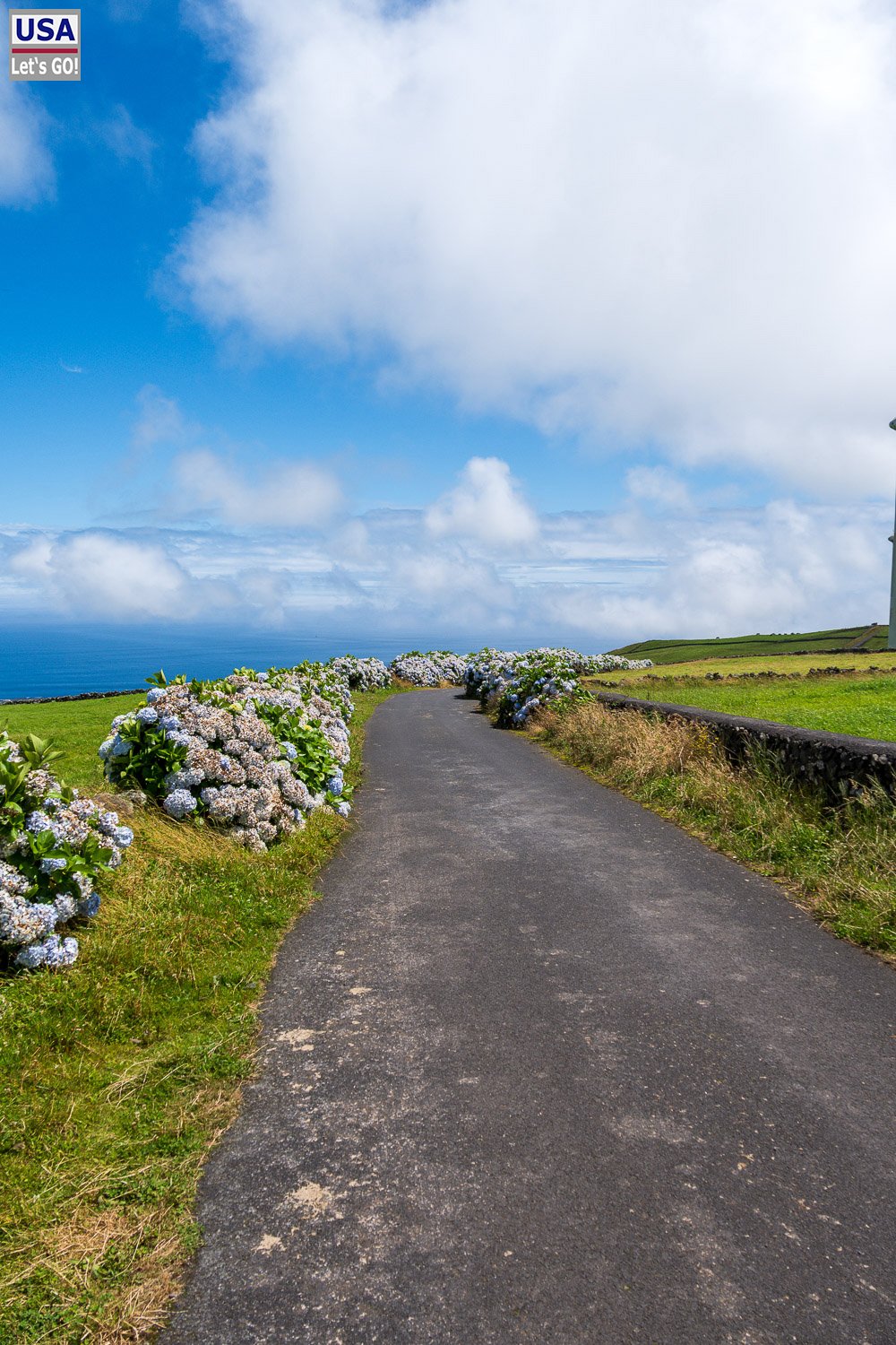 Schmale Straße zwischen Hortensien auf Terceira