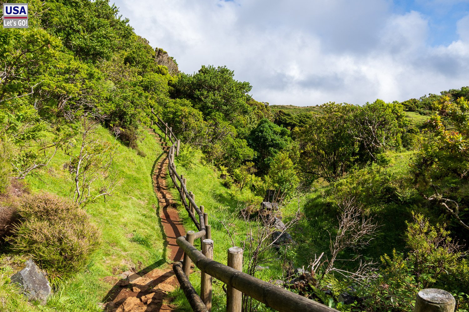 Rundweg mit Holzgeländer durch die Vegetation