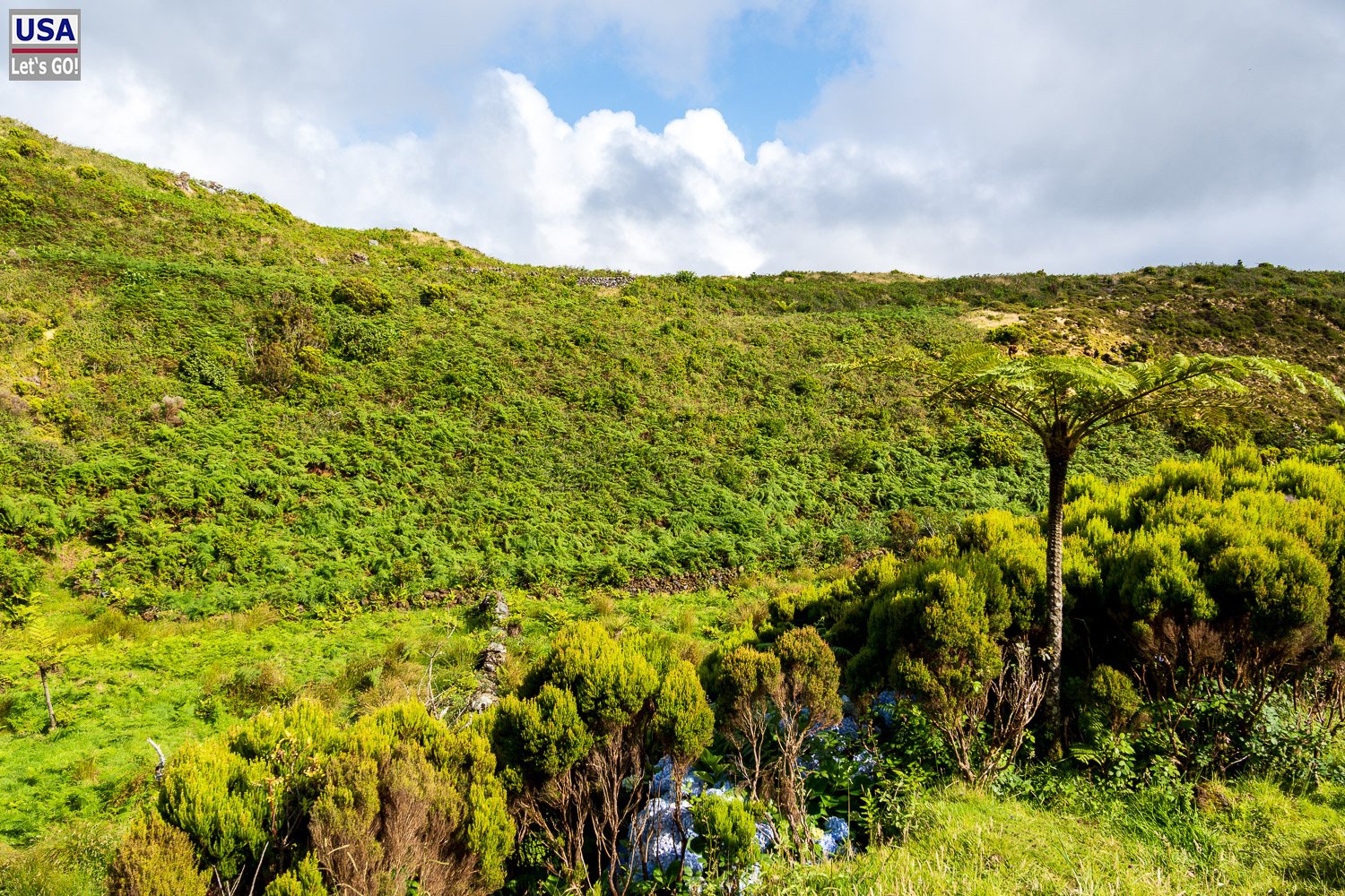 Grüne Kraterlandschaft bei den Furnas do Enxofre