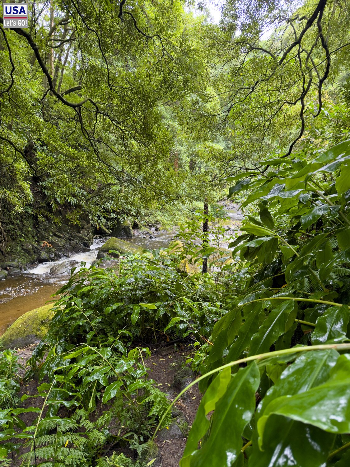 Bergbach am Wanderweg zum Salto do Prego