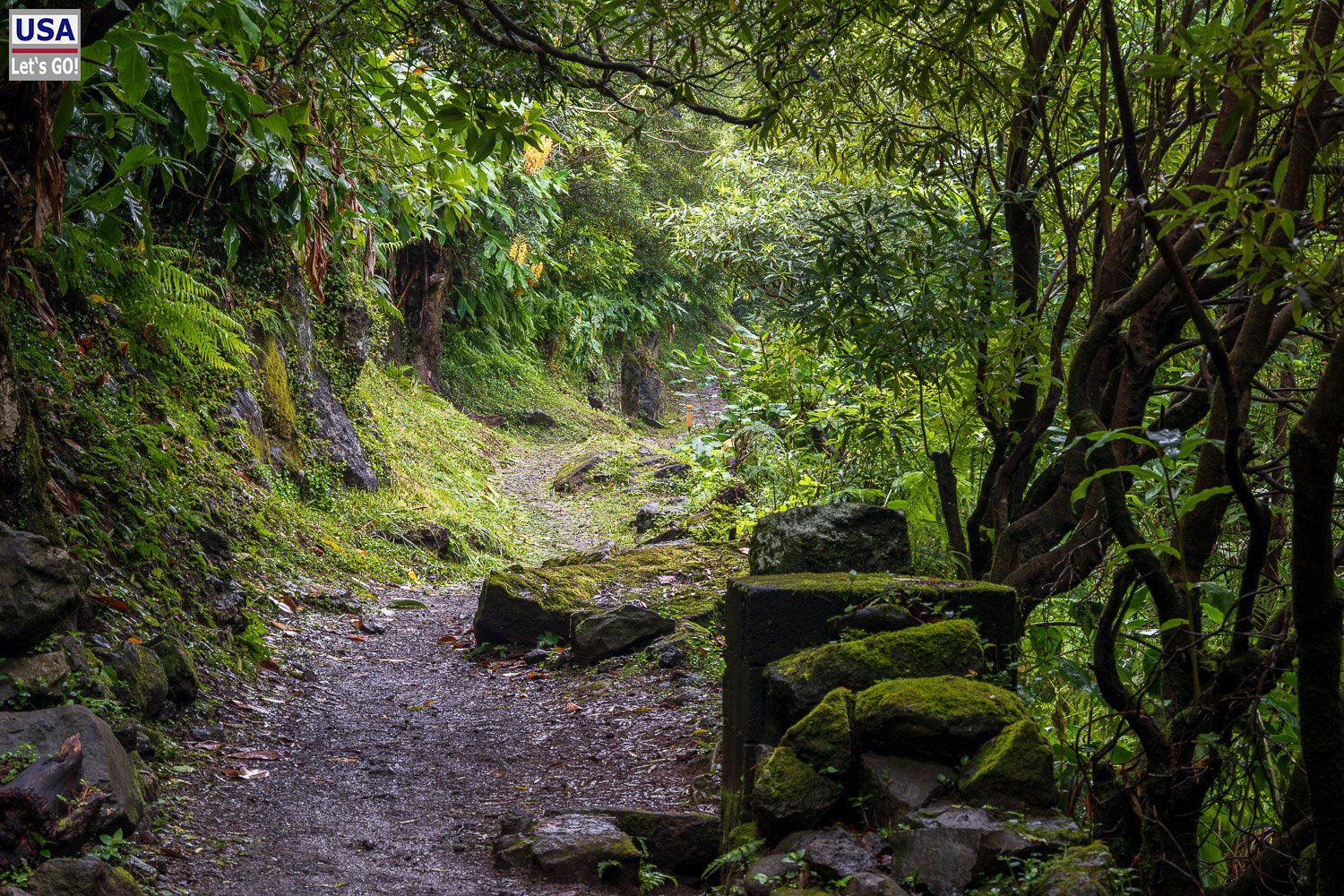 Bemooste Steine am Wanderweg