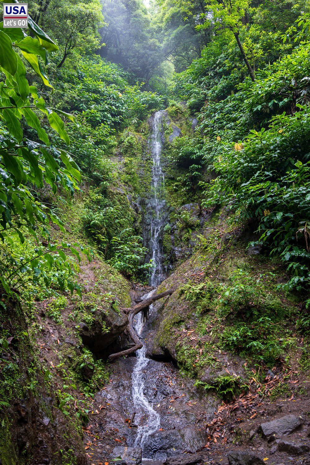 Kleiner Wasserfall im Wald am Wanderweg