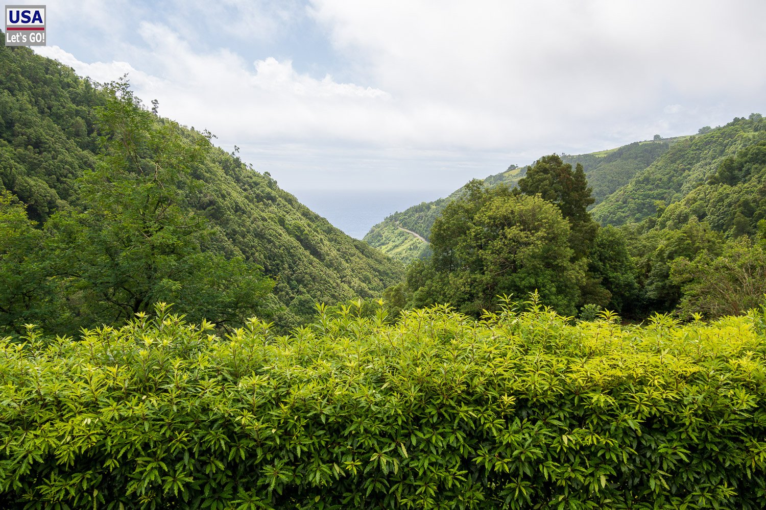 Grünes Tal oberhalb von Faial da Terra
