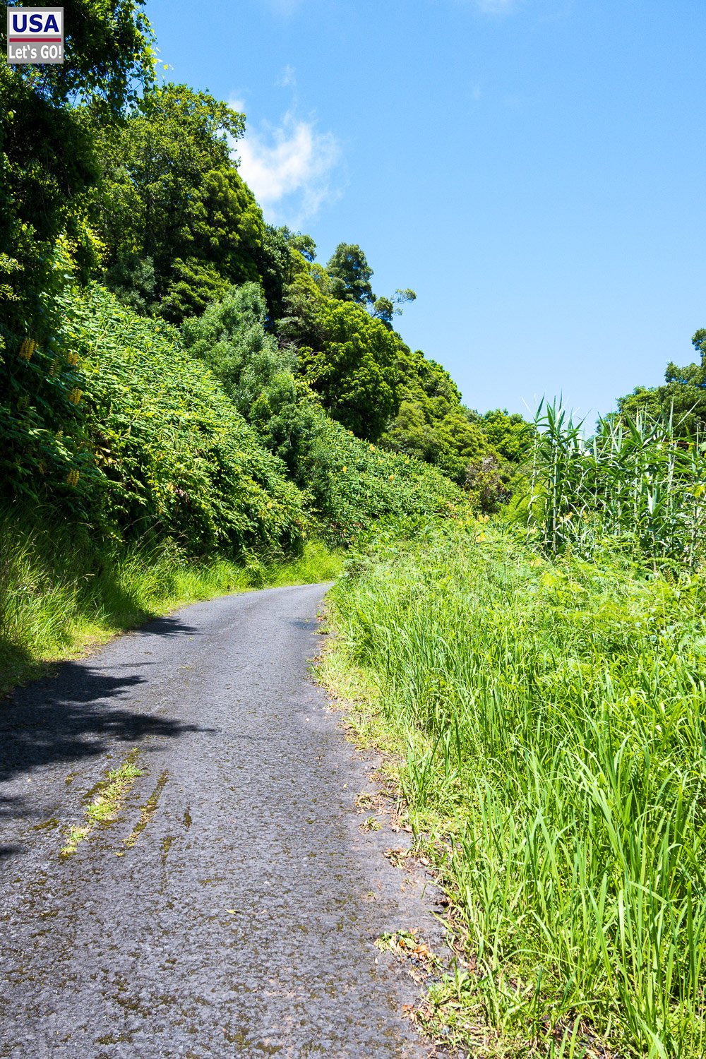 Schmale Straße zum Strand Lombo Gordo