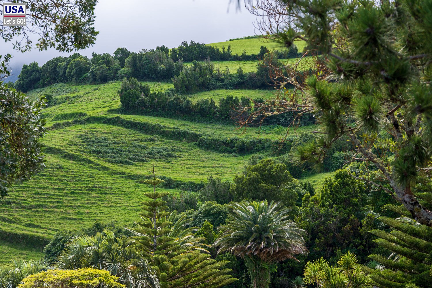Terrassierte Weiden an der Küste bei Nordeste
