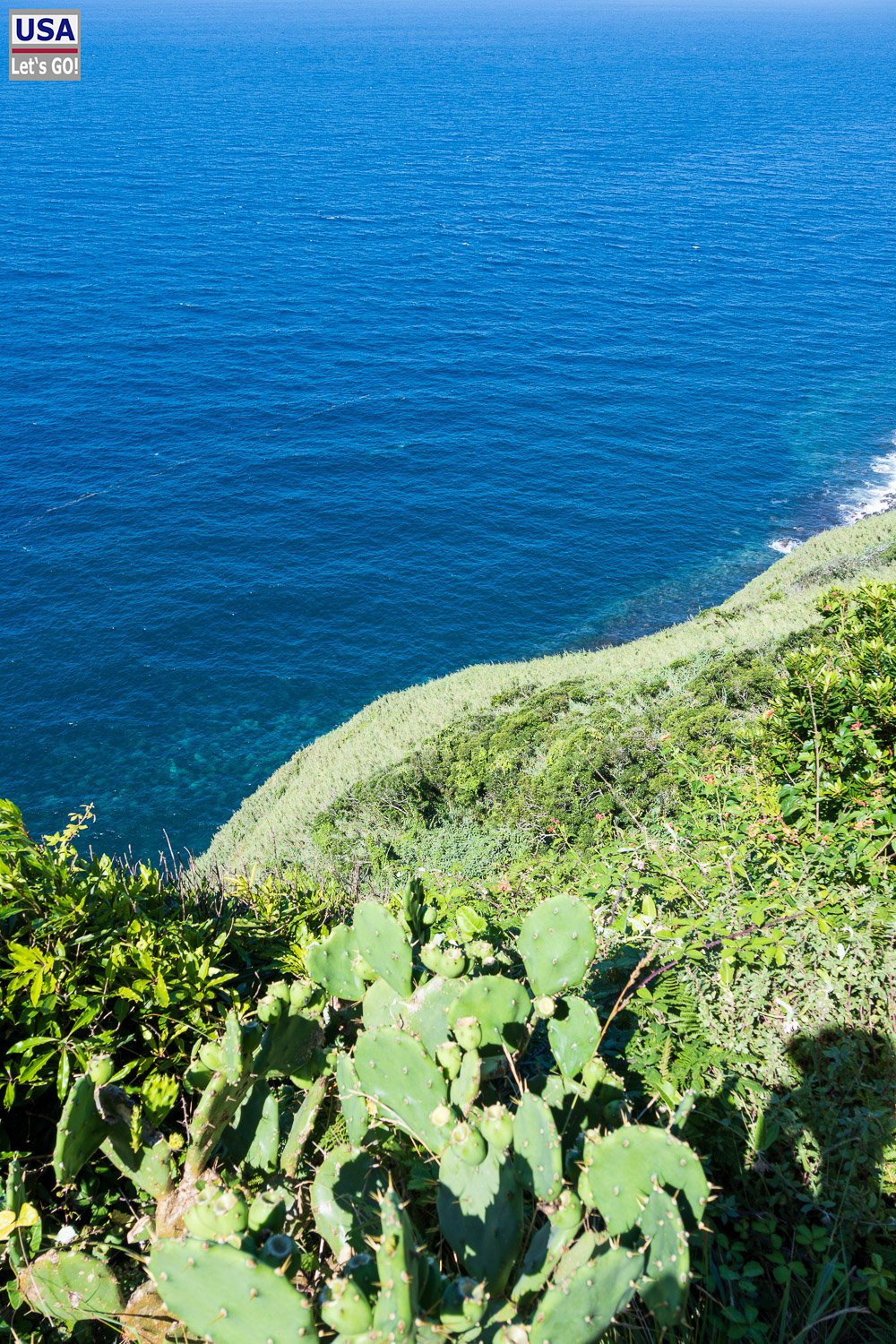Blick über Kakteen hinab aufs Meer