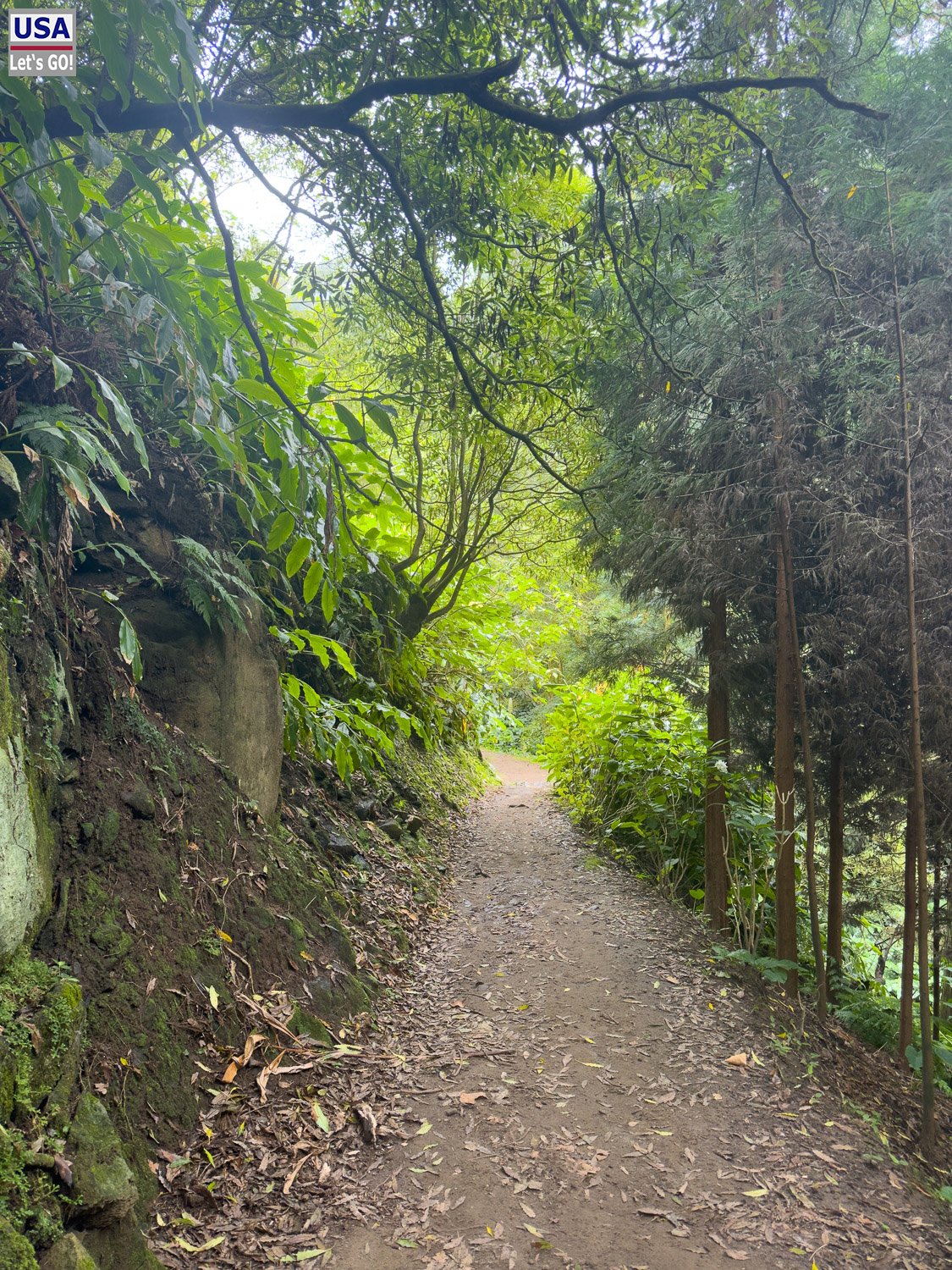 Waldweg bei Achadinha