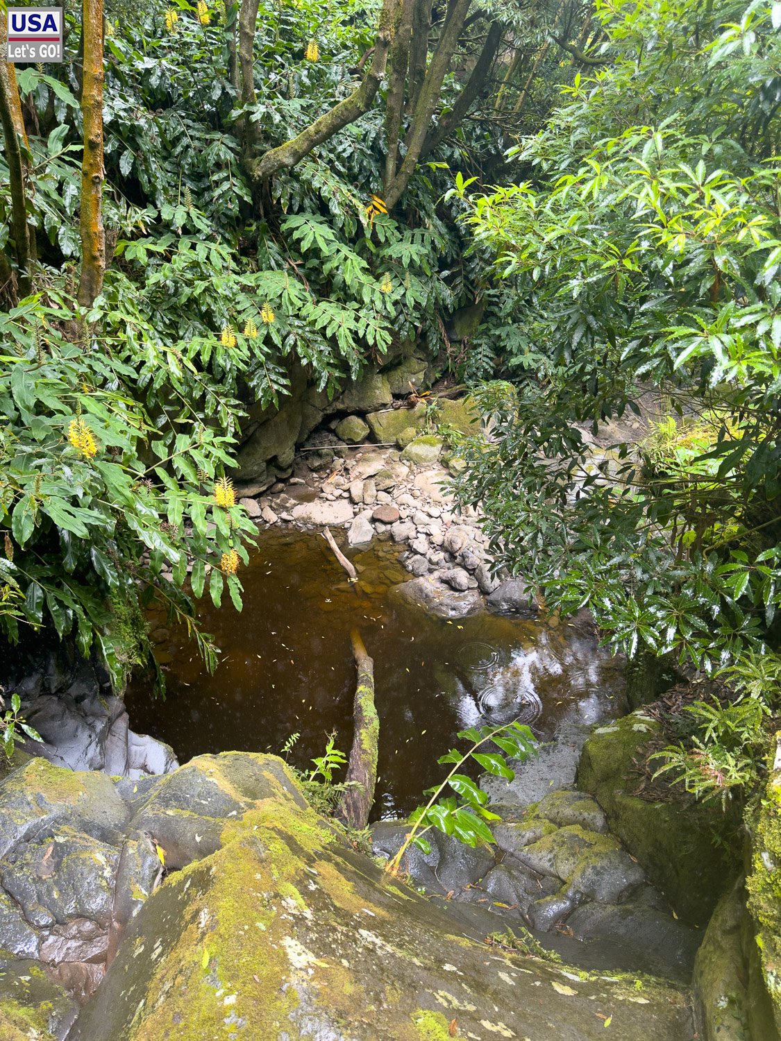 Bach und Felsen im Wald