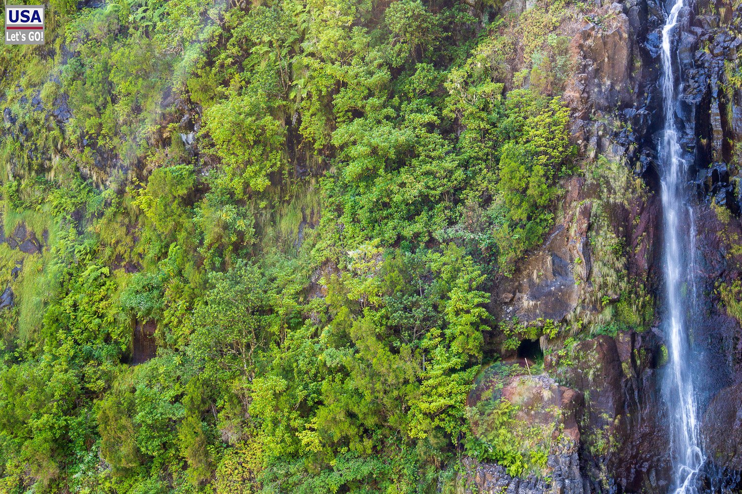 Wasserfall Risco zwischen grüner Vegetation