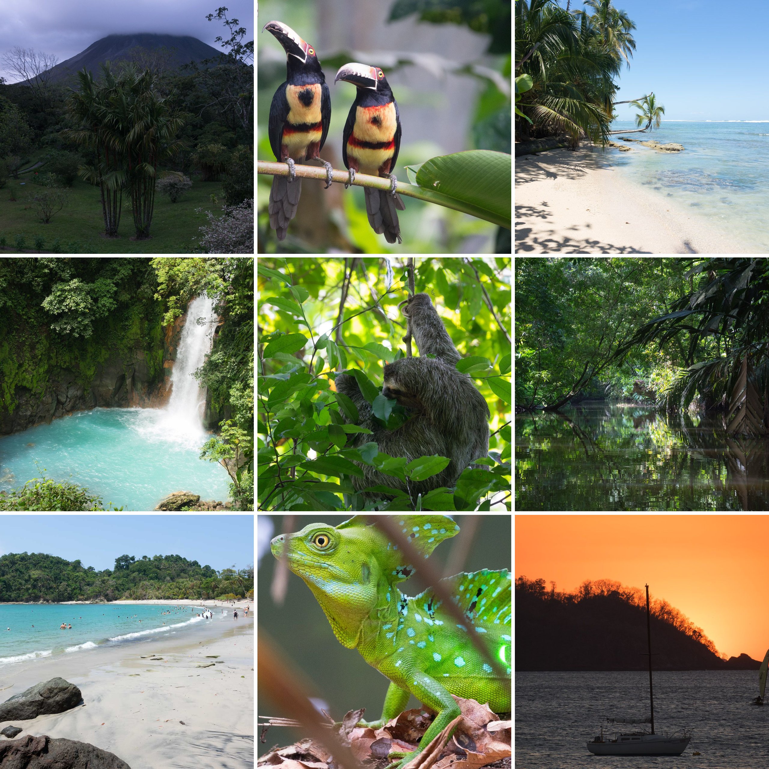 Collage der Costa-Rica-Reise