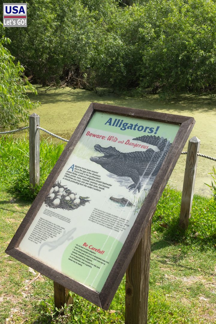 Infotafel zu Alligatoren am Wegesrand