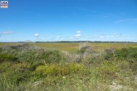 Folly Beach County Park (SC)