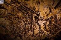 Wind Cave National Park (SD)