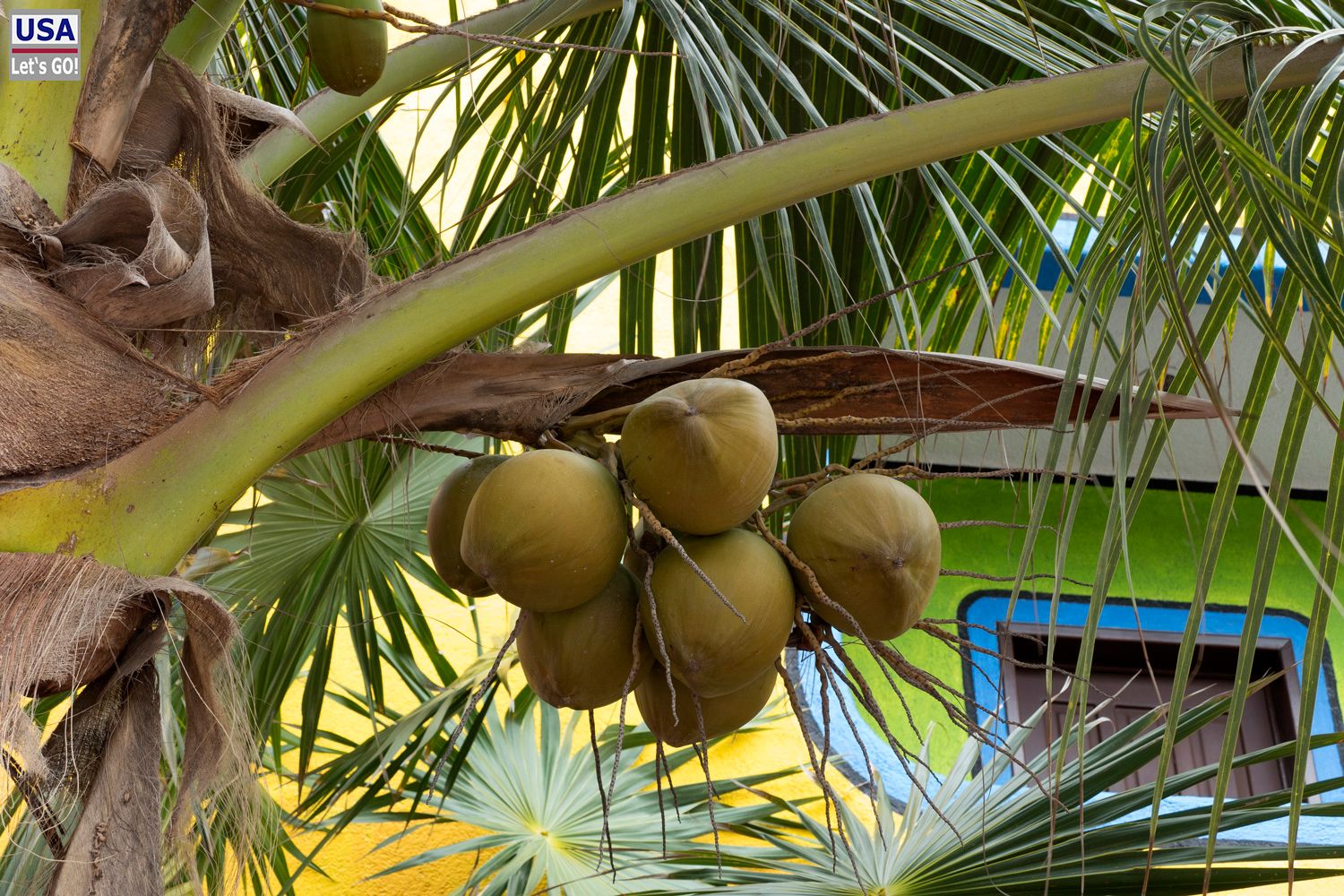 Half Moon Bay Akumal
