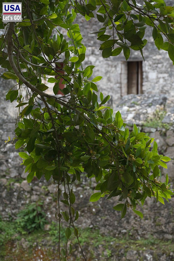 Fuerte de San Felipe Bacalar