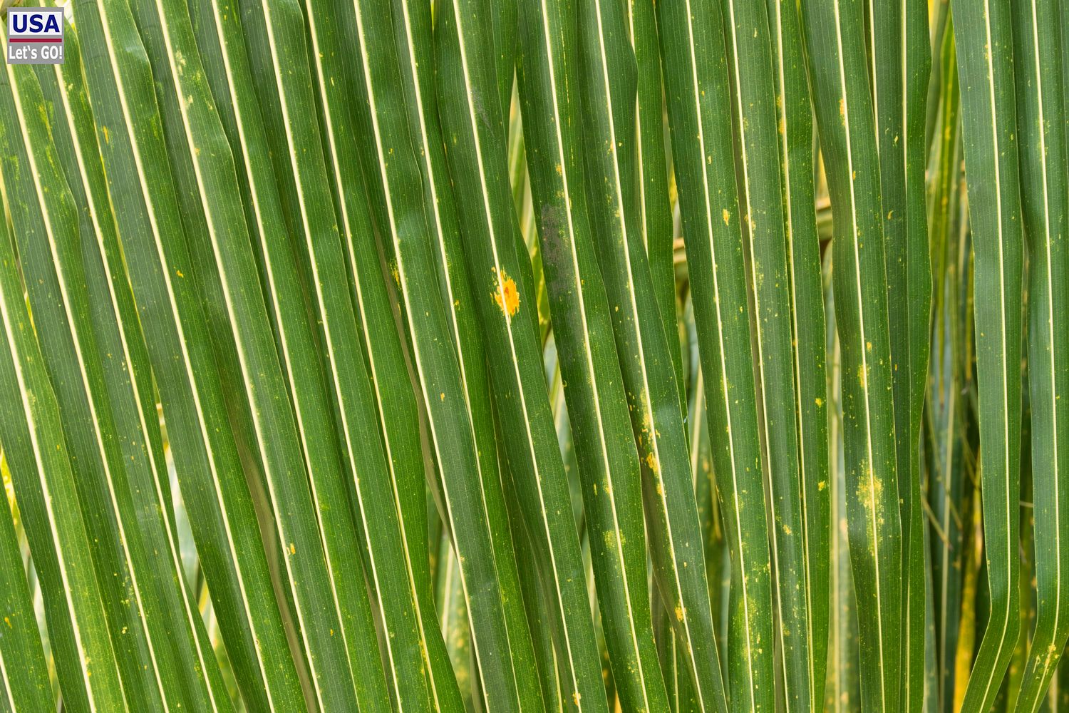 Rancho Encantado Bacalar