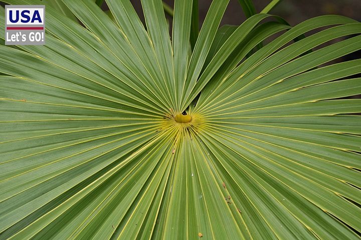 Rancho Encantado Bacalar