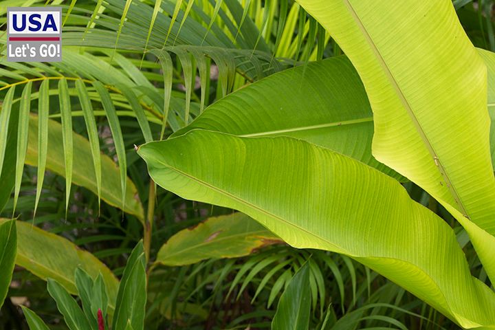 Rancho Encantado Bacalar