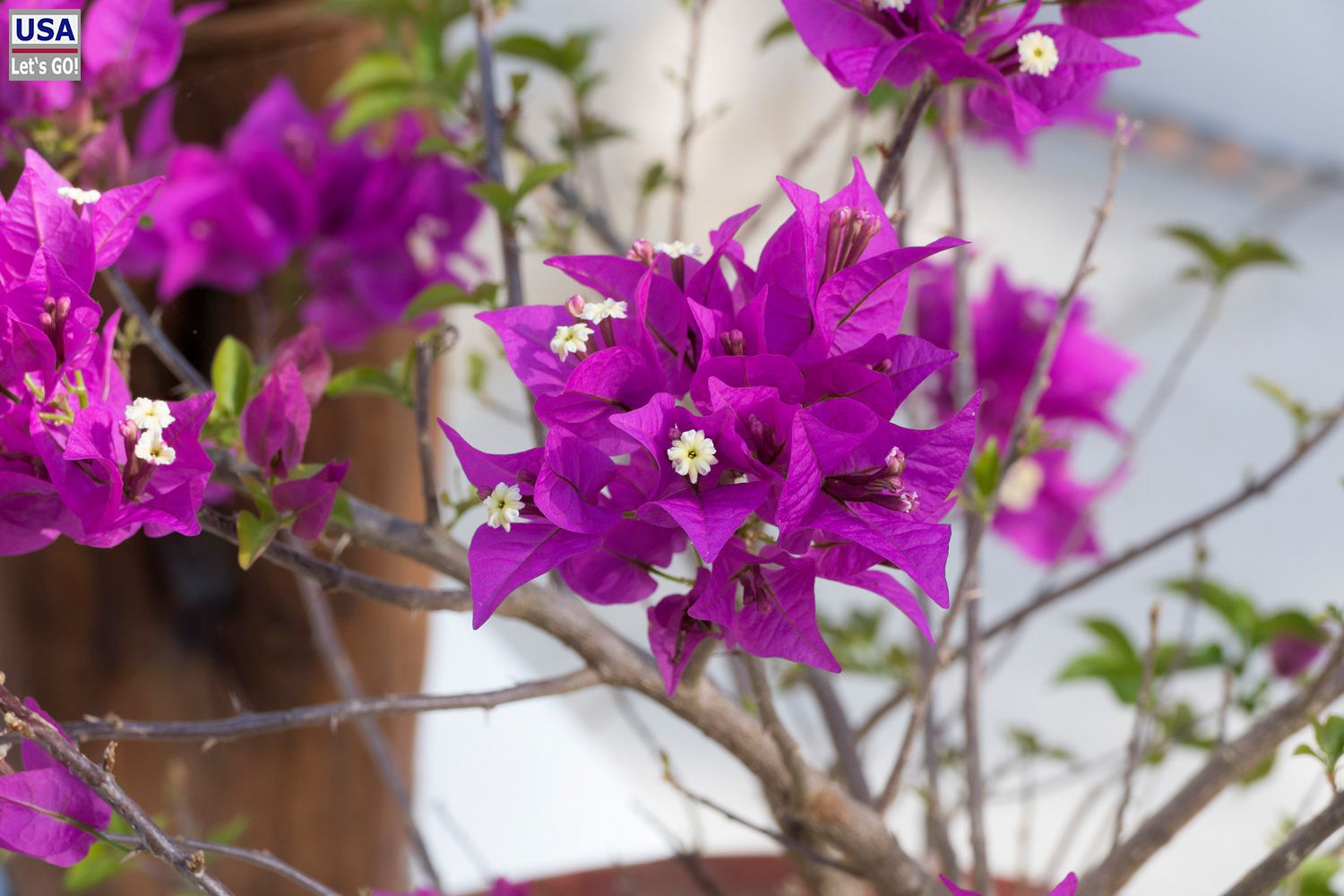 Rancho Encantado Bacalar