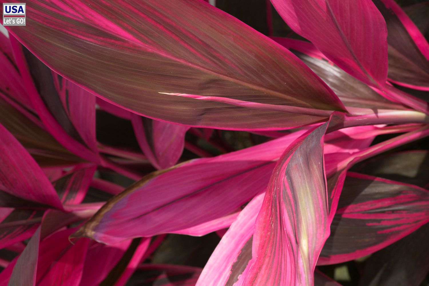 Rancho Encantado Bacalar