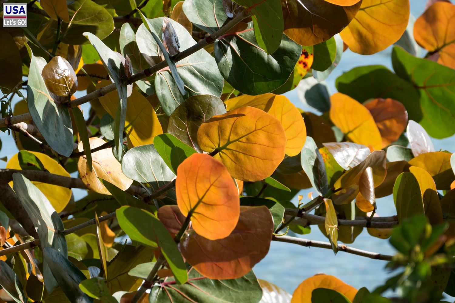 Rancho Encantado Bacalar