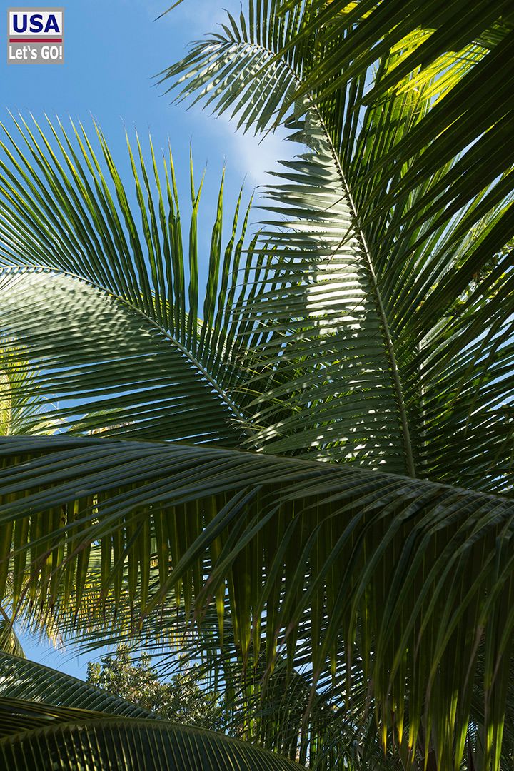 Rancho Encantado Bacalar